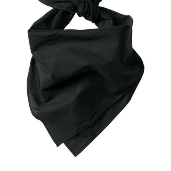 Large Bandana Thumbnail